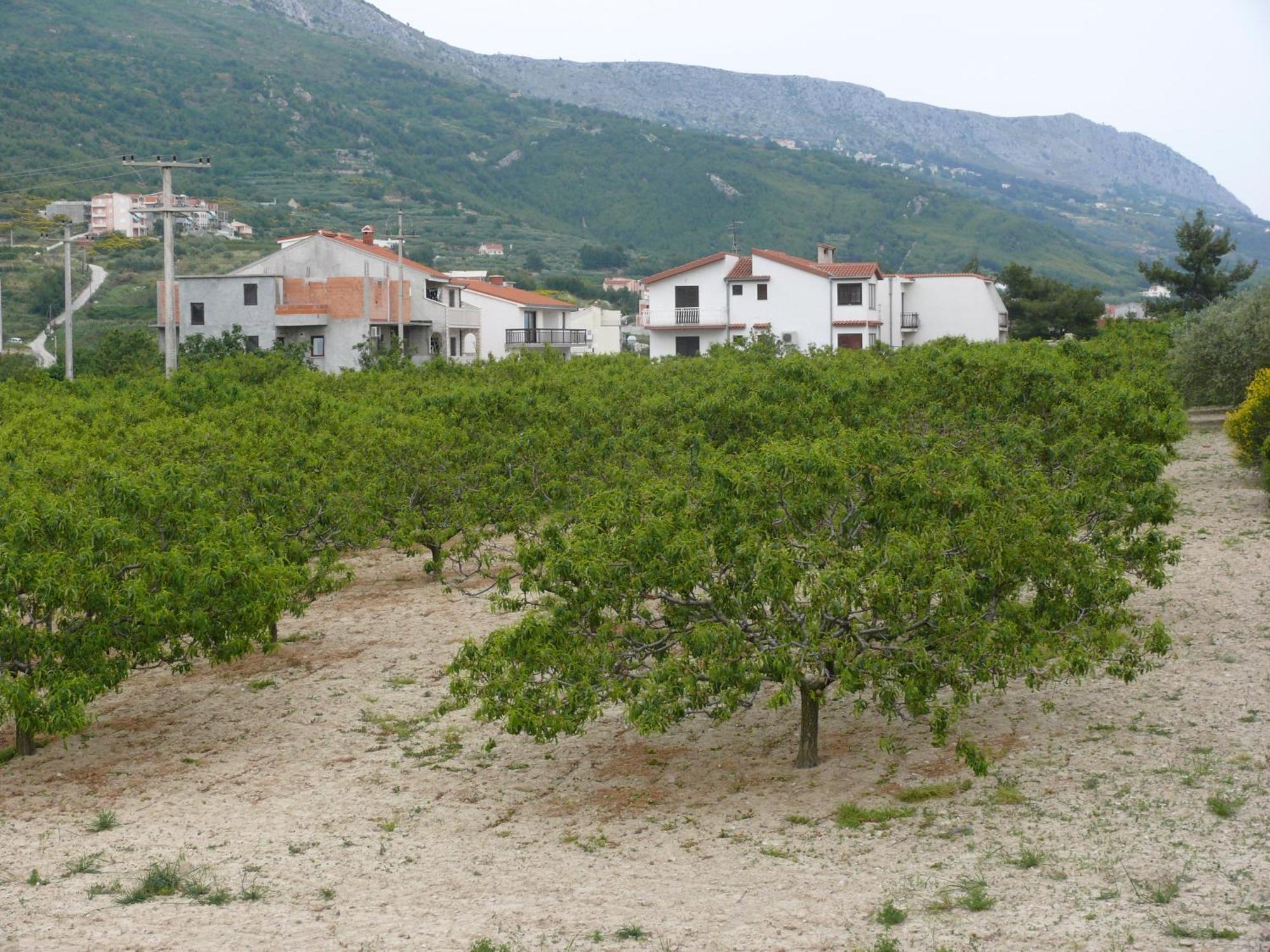 Apartments And Rooms Stipe Podstrana Esterno foto